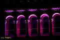IMG_7979 aa
